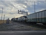 NS 10K